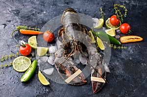 Fresh lobster, ice, vegetables, lime, sprigs of razmarin, dark look. A dark background, a place for text. Seafood healthy