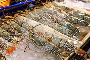 Fresh lobsters on ice for sale at local market in Phuket