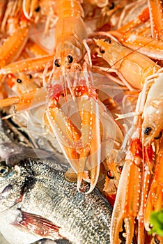 Fresh lobsters in outdoor fish market in Venice, Italy.