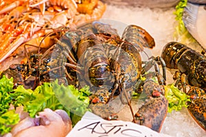 Fresh lobsters for sale in outdoor fish market in Venice, Italy.