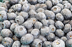 Fresh and local Juicy Organic Blueberries