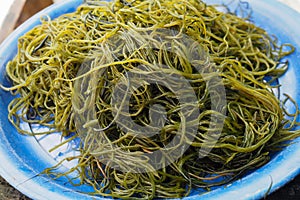 Fresh local seaweed (Gracilaria fisferi) in Thailand market