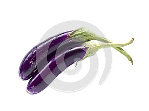 Fresh local Thai eggplants or aubergine vegetable isolated on white background