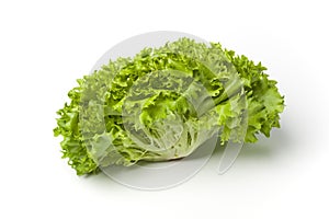 Fresh Lollo bionde lettuce