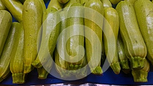 Fresh long and green pumpkin at the vegetable store , group green pepperss