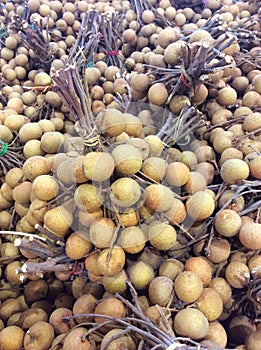 Fresh longan tropical fruit