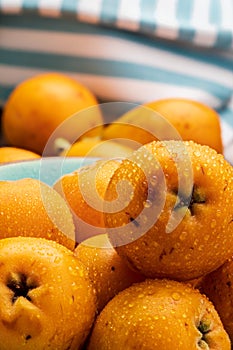 Fresh loquats medlars in blue turquoise bowl. Rustic and healthy appearance.