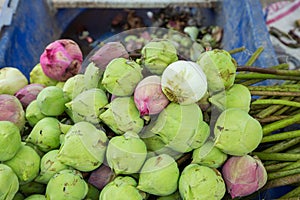 Fresh lotus bud bouquet