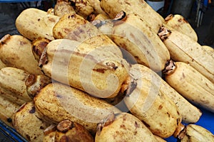 Fresh Lotus root