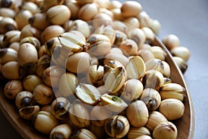 Fresh lotus seeds piled.