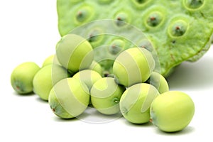 Fresh lotus seeds and pod