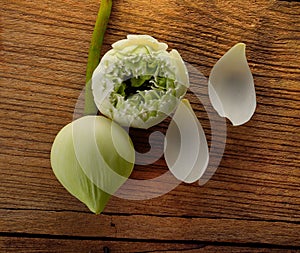 Fresh lotus for worship. Put on wooden background.