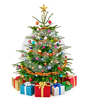 Fresh lush Christmas tree with colorful gift boxes