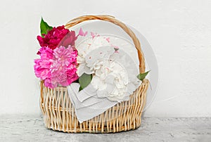 Fresh lush fragrant multicolored peonies in a straw eco friendly wicker basket with a white cotton napkin on a white concrete