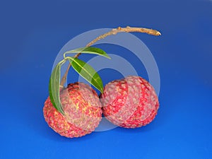 Fresh Lychy fruit and sweet tast redcover fruit photo