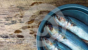 Fresh mackerel in a dish