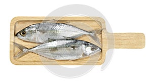 Fresh mackerel fish with square wooden tray isolated on white background ,include clipping path