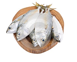 Fresh Mackerel fish on wooden chopping board  isolated on white background with clipping path