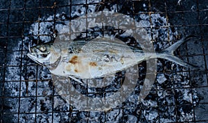 Fresh mackerel grilled over charcoal fire for sale at Ban Na Kluea Seafood Market, Pattaya