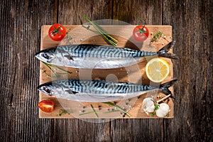 Fresh mackerel photo