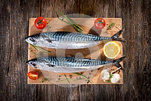 Fresh mackerel