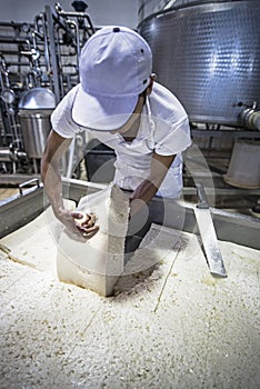 Fresh made italian cheese ricotta in a salt water bath top view.