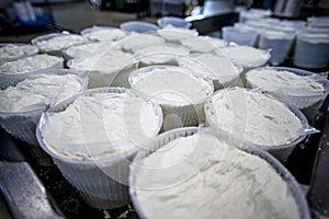 Fresh made italian cheese ricotta in a salt water bath top view.