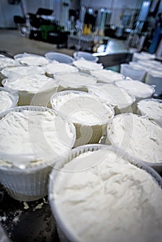 Fresh made italian cheese ricotta in a salt water bath top view.