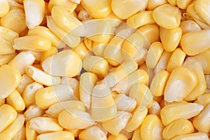 Fresh maize groats background