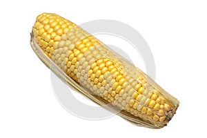 Fresh maize isolated on white