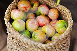 Fresh Malpighiaceae fruit or cherry in burlap sack photo