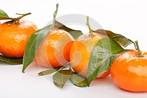 Fresh mandarin fruits