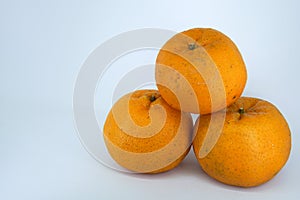 Fresh Mandarin orange