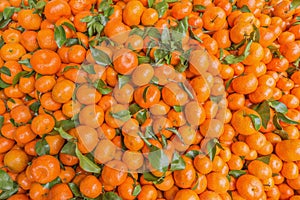 Fresh mandarin orange background on the fruit market