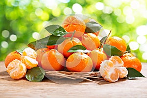 Fresh mandarin oranges fruit or tangerines with leaves over green blurred background