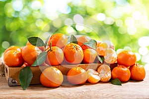 Fresh mandarin oranges fruit or tangerines with leaves over green blurred background