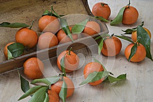 Fresh mandarin oranges fruit or tangerines with leaves on the wooden box on the table.