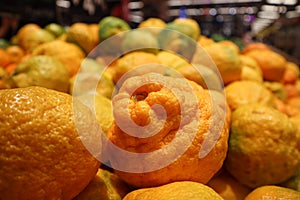 Fresh mandarinas in chinese supermarket photo