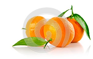 Fresh mandarine fruits with green leaves isolated