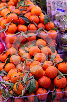 Fresh mandarins in fruit shop