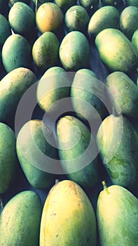 Fresh Mango from asia