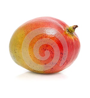 Fresh mango fruit isolated on white