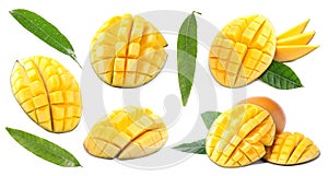 Fresh mango fruits and green leaves isolated on white, set