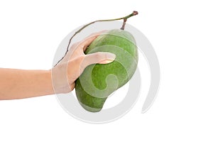 Fresh mango - Green mangoes on woman hands with isolated on whit