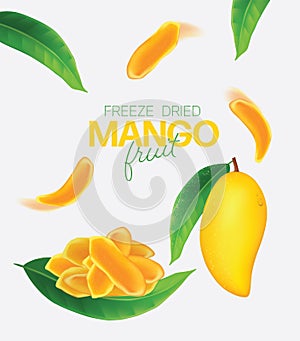 Fresh mango Vector illustration