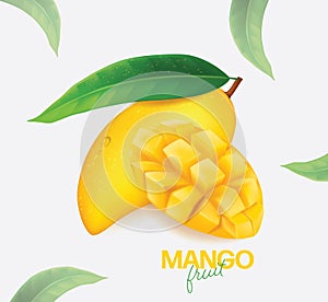 Fresh mango Vector illustration