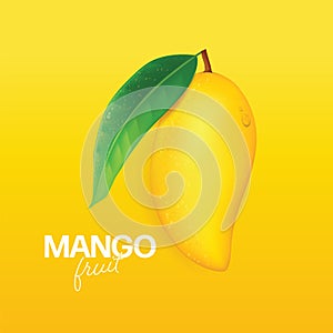 Fresh mango Vector illustration