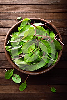 Fresh mangold leaves, swiss chard