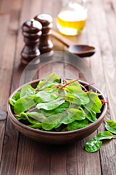 Fresh mangold leaves, swiss chard or leaf beet