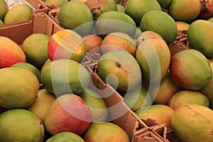 Fresh mangos on a market stall photo